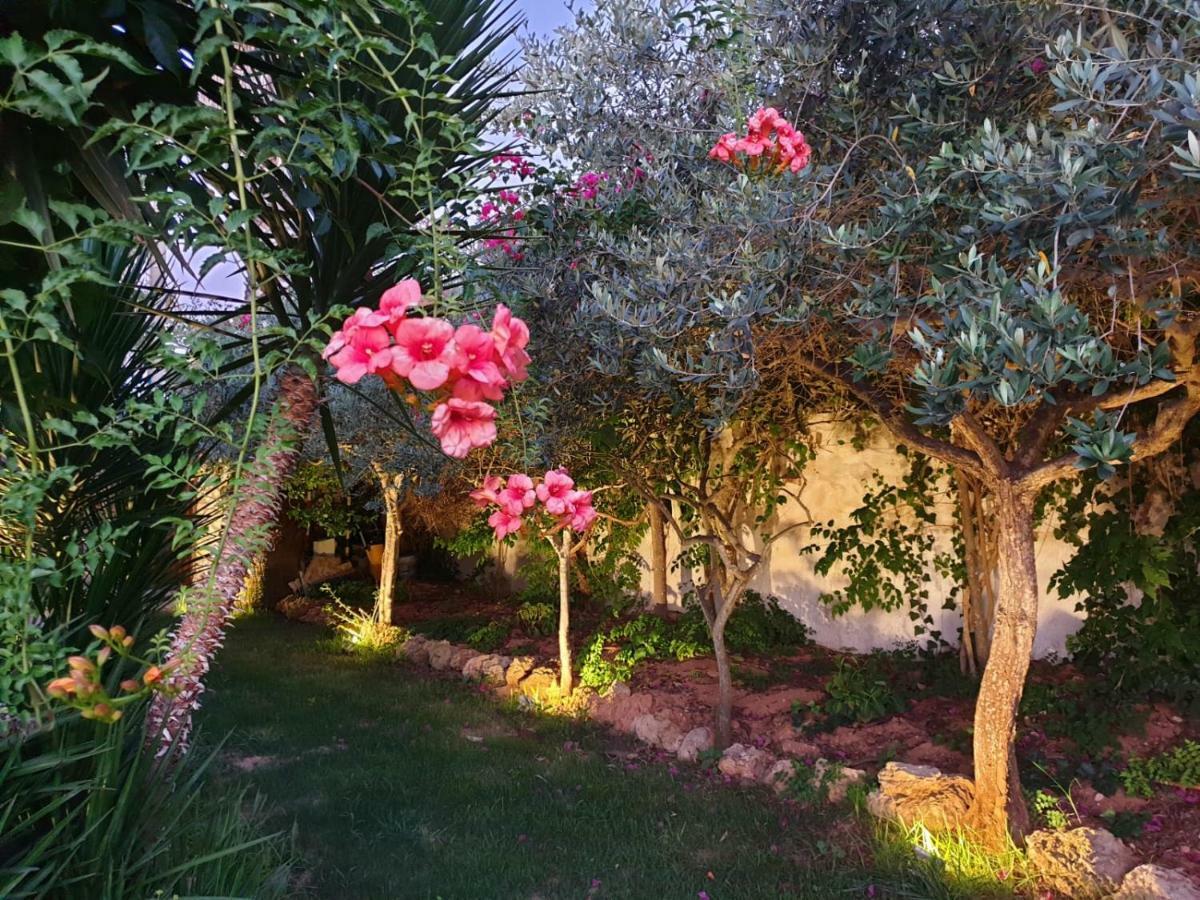 Anastasia Villas-B&B Lido Signorino エクステリア 写真